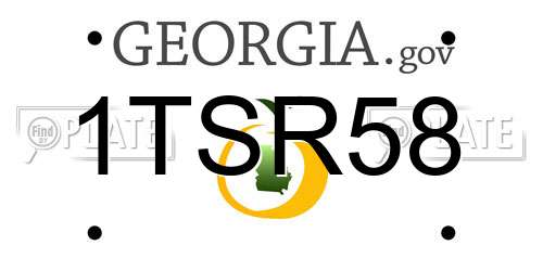 1TSR58 Georgia License Plate