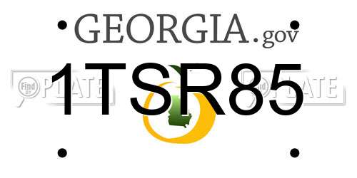1TSR85 Georgia License Plate