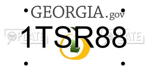 1TSR88 Georgia License Plate