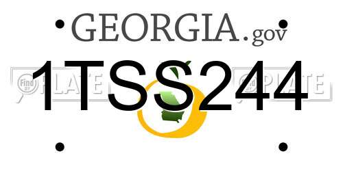 1TSS244 Georgia License Plate
