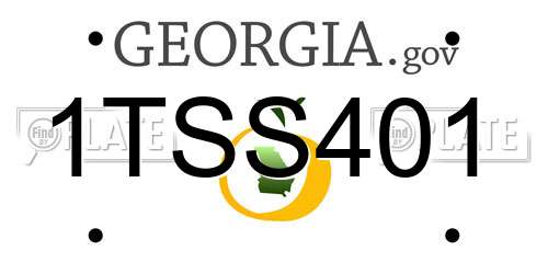 1TSS401 Georgia License Plate