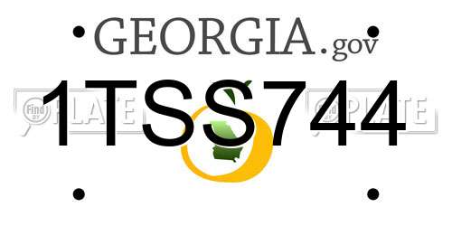 1TSS744 Georgia License Plate