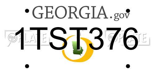 1TST376 Georgia License Plate