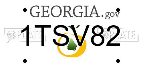 1TSV82 Georgia License Plate