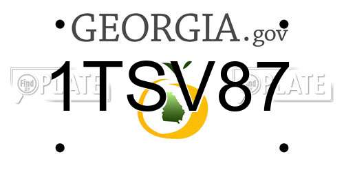 1TSV87 Georgia License Plate