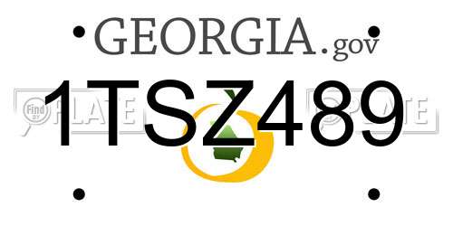1TSZ489 Georgia License Plate