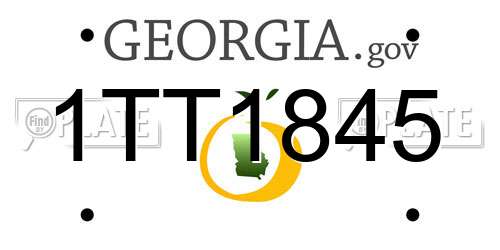 1TT1845 Georgia License Plate