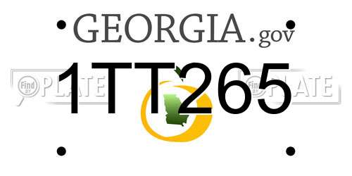 1TT265 Georgia License Plate
