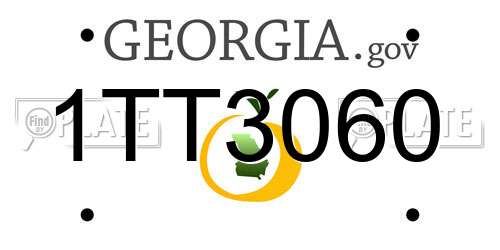 1TT3060 Georgia License Plate