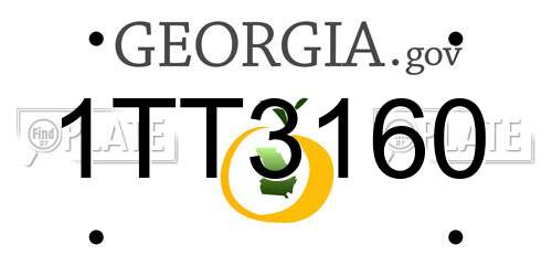 1TT3160 Georgia License Plate
