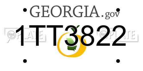 1TT3822 Georgia License Plate