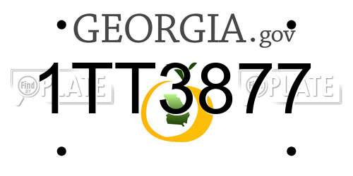1TT3877 Georgia License Plate
