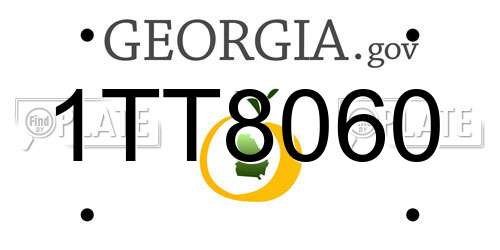 1TT8060 Georgia License Plate