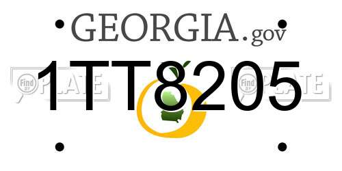 1TT8205 Georgia License Plate