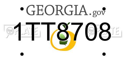 1TT8708 Georgia License Plate