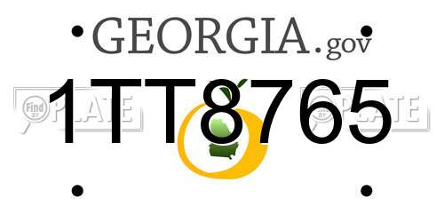 1TT8765 Georgia License Plate