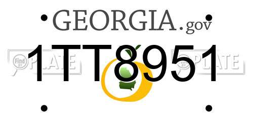1TT8951 Georgia License Plate