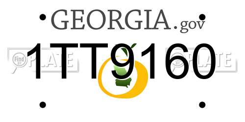 1TT9160 Georgia License Plate