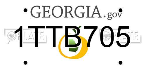 1TTB705 Georgia License Plate