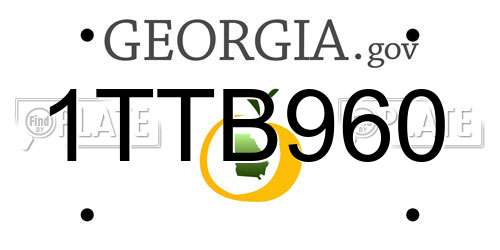 1TTB960 Georgia License Plate