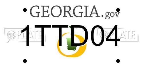 1TTD04 Georgia License Plate