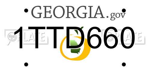 1TTD660 Georgia License Plate