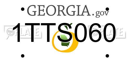 1TTS060 Georgia License Plate