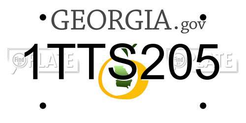 1TTS205 Georgia License Plate