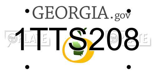 1TTS208 Georgia License Plate