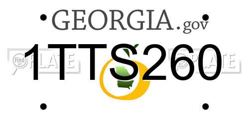 1TTS260 Georgia License Plate