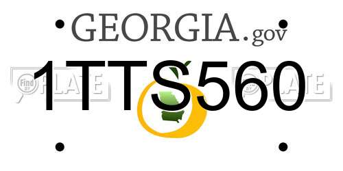 1TTS560 Georgia License Plate