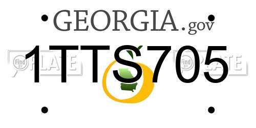 1TTS705 Georgia License Plate