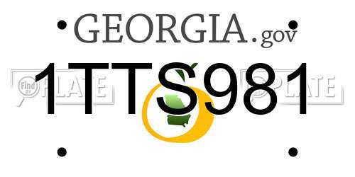 1TTS981 Georgia License Plate