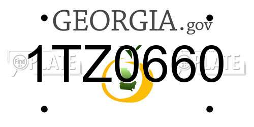 1TZ0660 Georgia License Plate