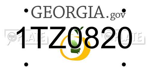 1TZ0820 Georgia License Plate