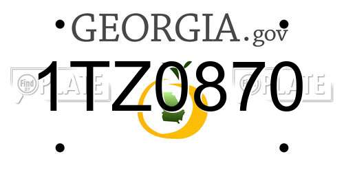 1TZ0870 Georgia License Plate
