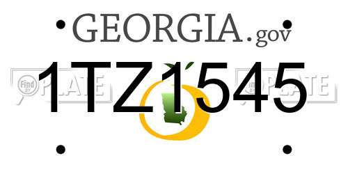 1TZ1545 Georgia License Plate