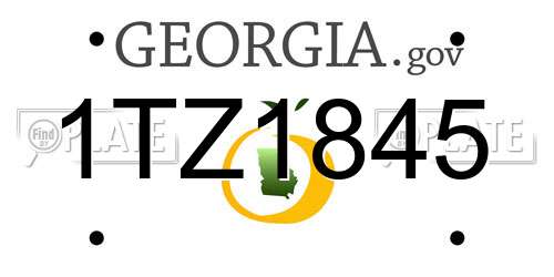 1TZ1845 Georgia License Plate