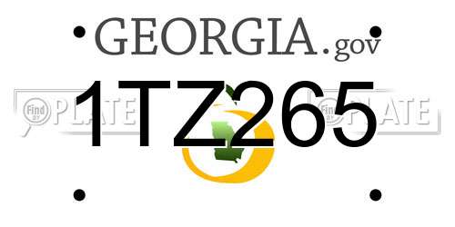 1TZ265 Georgia License Plate