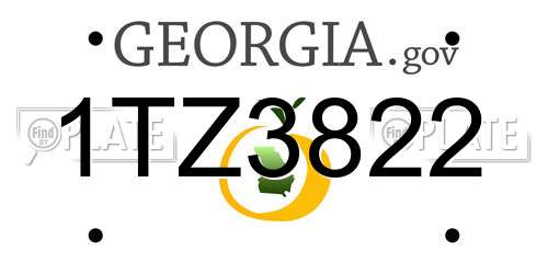 1TZ3822 Georgia License Plate