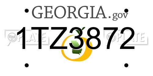 1TZ3872 Georgia License Plate