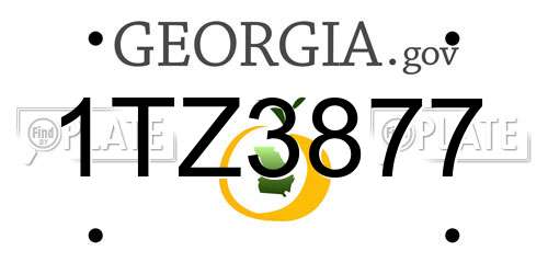 1TZ3877 Georgia License Plate