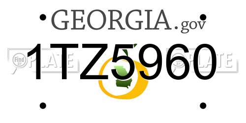 1TZ5960 Georgia License Plate