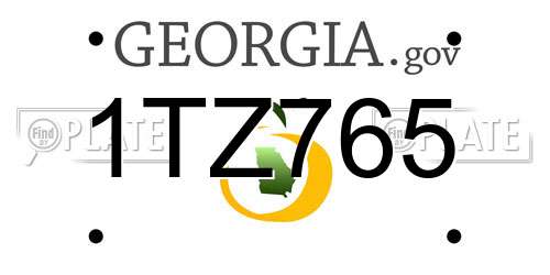1TZ765 Georgia License Plate