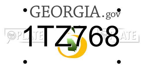 1TZ768 Georgia License Plate