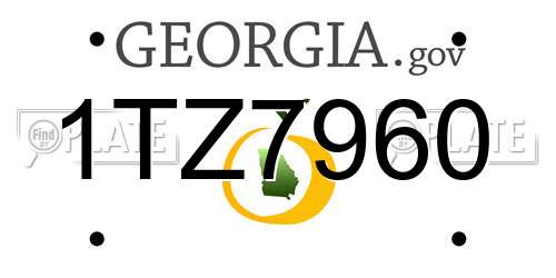 1TZ7960 Georgia License Plate