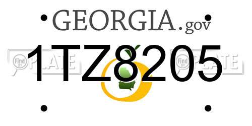 1TZ8205 Georgia License Plate