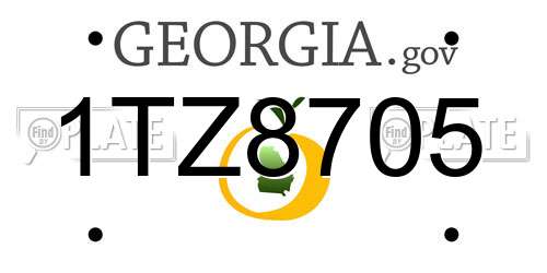 1TZ8705 Georgia License Plate