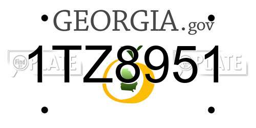 1TZ8951 Georgia License Plate
