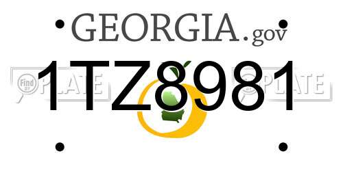 1TZ8981 Georgia License Plate